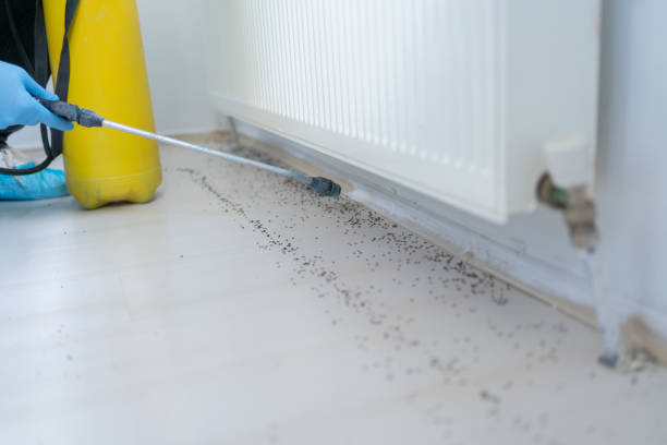 Best Local Pest Control Services  in Columbus, IN